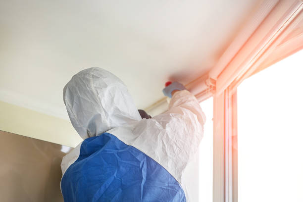 Mold Remediation for Vacation Homes in Wildwood, NJ